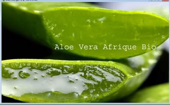 L'aloe Vera 100 Vertus et Bienfais de ce plante Formidable