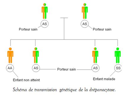 Drépanocytose Symptômes Traitements Naturels. Recette Naturelle Drépanocytose