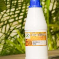 Remède naturel contre les Plaies Internes et Ulcères