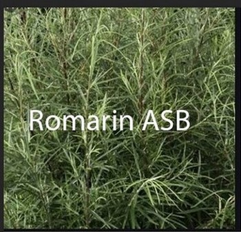 Hyperferritinémie Causes Traitements Naturels