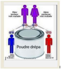 Drépanocytose Complication Traitement Naturel