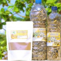 Recette 175: Kyste des testicules Traitement naturel de Kyste