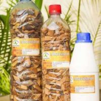 Recette 161 : Remède naturel Hydrocèle testiculaire (Potion)