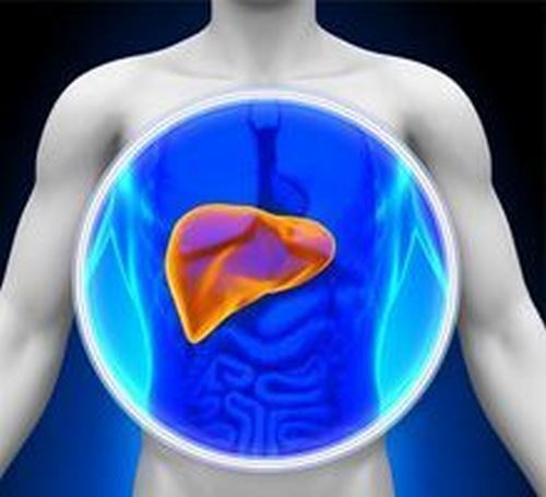 Traitement Naturel contre l'Hepatite B