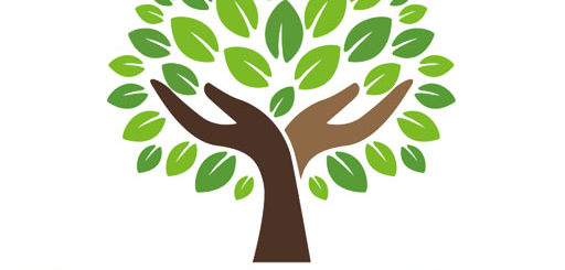 Dysenterie Amibienne Traitement Naturel
