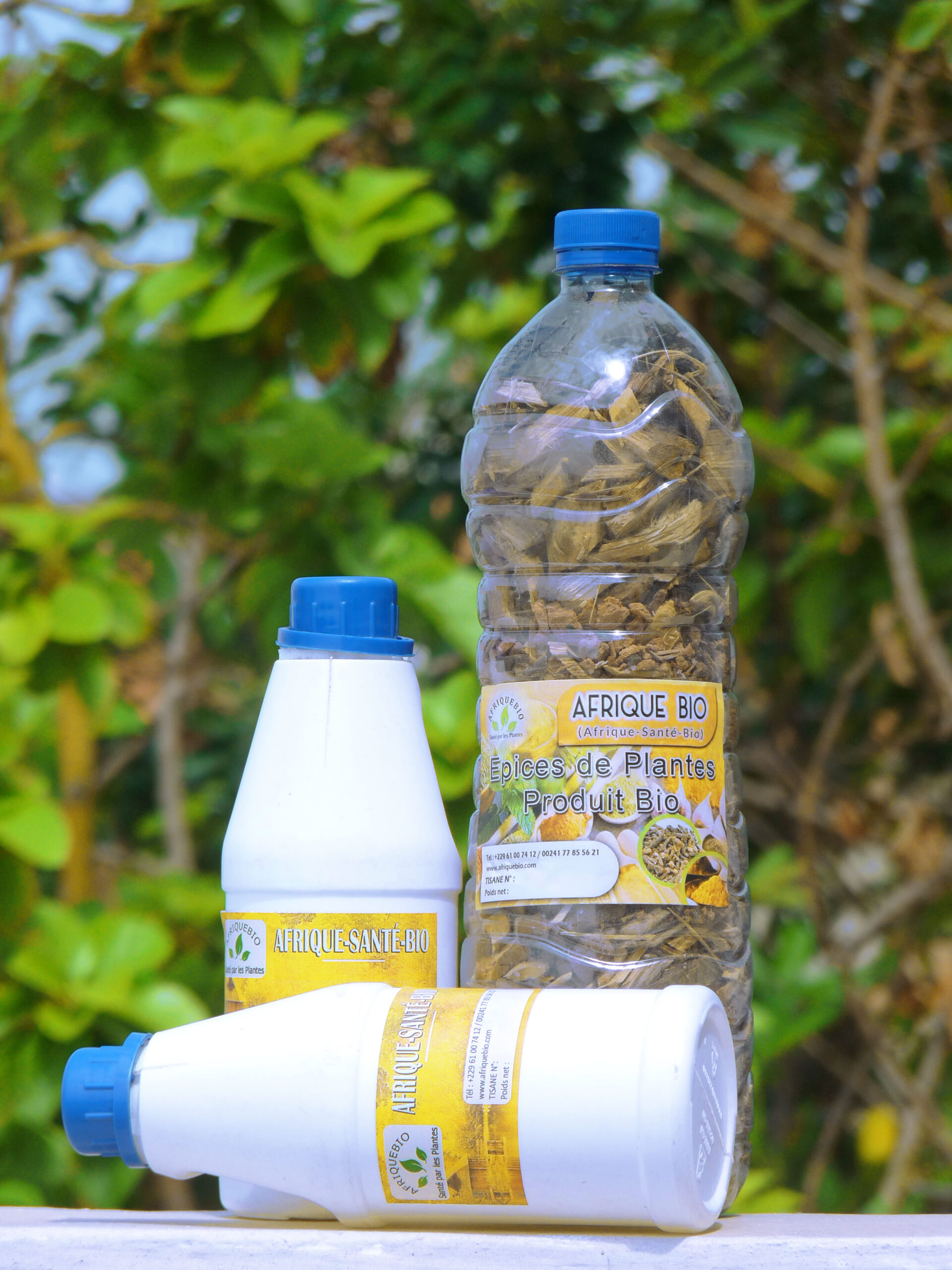Traitement Naturel Cancer de la Prostate