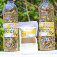 Tisane pour Guerir de l'Infection à Staphylocoques