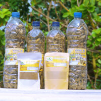 Pommade pour Soigner le Cancer du Sien