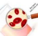 Solution Naturelle Contre l'Hématurie