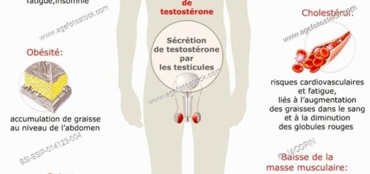 Andropause Traitement Naturel