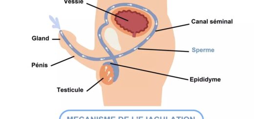 L’Éjaculation Précoce Prevention et Traitement Naturel