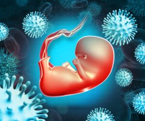 Tisane pour Soigner le Cytomégalovirus