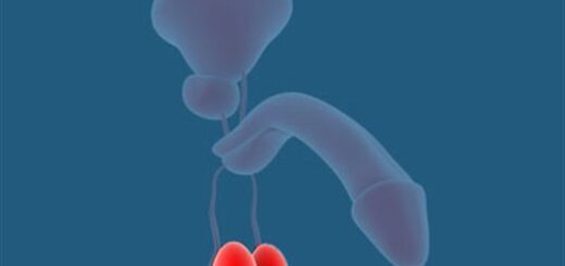Hypogonadisme Causes Symptômes Traitement Naturel