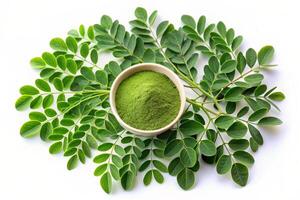Quelles sont les Bienfaits des Feuilles de Moringa Oleifera pour la Sante ?